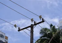 COP30 impulsiona Bahia: investimento de €300 mi promete modernizar a rede elétrica imagem