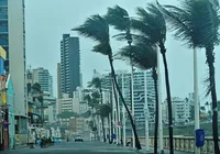 Chuva em Salvador: vento atinge 59 km/h e assusta moradores