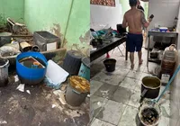 Com baratas congeladas, fábrica de salgados ‘imunda’ é fechada