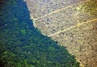 Congresso vai analisar vetos de Lula ao licenciamento ambiental imagem
