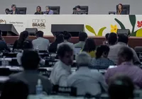 Cop30 chega ao fim em estado de paralisia imagem