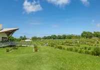 Cremação: entenda porque ela é uma opção moderna, respeitosa e acolhedora para as famílias