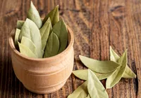 Diga adeus aos insetos com esse truque infalível com folha de louro