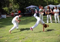 Edital irá impulsionar cultura e esporte com investimento recorde