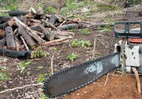 Entre avanços e impasses: agro chega forte à COP 30, mas falha no básico