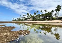 Essa praia perto de Salvador surpreende turistas com uma tradição única
