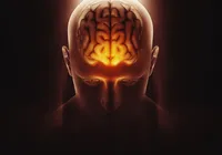 Estudo revela como “desligar” neurônios que controlam a ansiedade imagem
