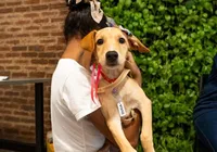 Evento natalino reúne pets para adoção responsável