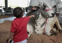 Fenagro 2025: festa do agronegócio na Bahia terá shows, negócios e inovação