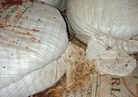 Fezes de ratos são encontradas em fábricas de temperos na Bahia