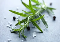 Frasco de alecrim e sal grosso: para que serve colocá-lo dentro de casa