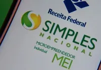 Golpes no PGMEI: saiba como identificar sites falsos e evitar perdas imagem