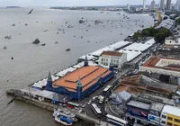 Governo lança novo leilão verde para ampliar investimentos na Amazônia