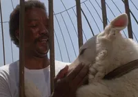 Hollywood errou feio: esses filmes racistas nunca deviam ter sido feitos