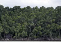 Ipea calcula quanto países ricos devem ao planeta por excesso de poluição