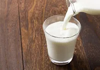 Leite de barata é mais nutritivo que o de vaca e pode salvar o mundo