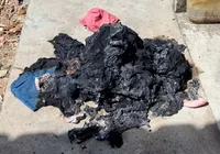 Mãe é presa por tentar matar a filha de 2 anos sufocada na Bahia imagem