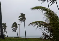 Mais chuva? Veja previsão do tempo em Salvador após temporal imagem