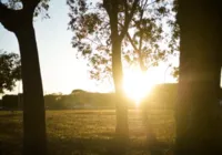 Mais de 70 cidades da Bahia apresentaram alerta de umidade baixa