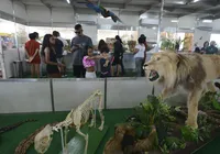 Mavi: ciência interativa espera bater recorde com 12 mil visitantes imagem