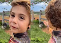 Menino de 6 anos resgata cães abandonados: “Nunca vou machucar vocês”