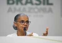 Meta do Fundo das Florestas é alcançar US$ 25 bilhões, projeta Marina imagem