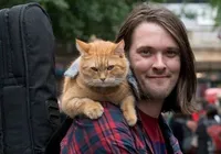 Músico muda de vida e ganha fama após achar gato no meio da rua imagem