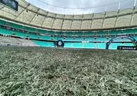 Natural x sintético: desculpa ou risco real para os atletas? imagem