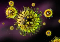 Nova pandemia? Variante do vírus da gripe é detectada na China imagem