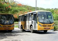 Novas linhas de ônibus passam a circular em Salvador; veja percursos imagem