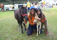 O que fazer na Fenagro 2025? Shows, tirolesa radical, carros e vila pônei garantem diversão