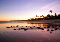 O que fazer no feriadão de 20 de novembro; dicas de programação