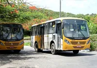Ônibus ‘amarelinhos’ de Salvador vão ganhar novo modelo com ar-condicionado