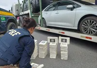 PRF apreende mais de 120 Kg de cocaína e skank em caminhão-cegonha