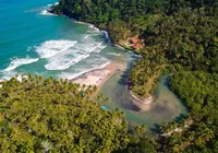 Paraíso na Bahia recebe festival de alta gastronomia por 12 dias; veja programação imagem