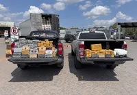 Polícia baiana dá baque milionário no CV após apreender 200 kg de drogas