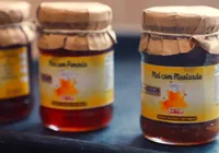 Produtores baianos disputarão Concurso de Qualidade do Mel durante a Fenagro 2025