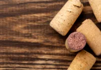 Rolha na geladeira: entenda por que fazer isso é recomendado