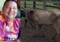 Secretário de prefeitura de cidade baiana é acusado de furtar vaca imagem