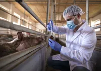 Segurança alimentar: veterinários e zootecnistas fiscalizam o que chega no prato dos baianos imagem