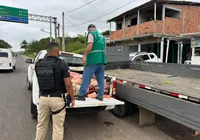 Sem churras? Polícia desmonta abate clandestino de carne irregular imagem