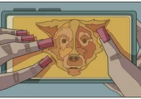 Seu cachorro dorme na sua cama? Você não está sozinho(a)