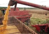 Trabalhador morre soterrado após cair em silo de soja na Bahia imagem
