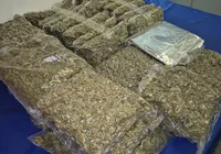 Três pessoas são presas com 31 kg de drogas no Aeroporto de Salvador imagem