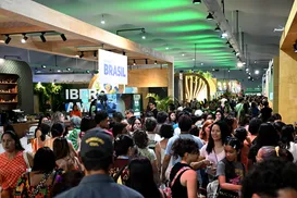 A África do Sul na COP30: financiamento climático e transição justa - Imagem