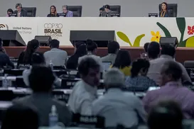 Cop30 chega ao fim em estado de paralisia - Imagem