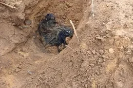 Corpo de homem é encontrado enterrado em cova rasa - Imagem