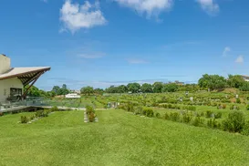 Cremação: entenda porque ela é uma opção moderna, respeitosa e acolhedora para as famílias - Imagem