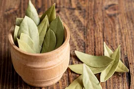 Diga adeus aos insetos com esse truque infalível com folha de louro - Imagem