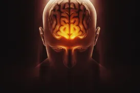 Estudo revela como “desligar” neurônios que controlam a ansiedade - Imagem